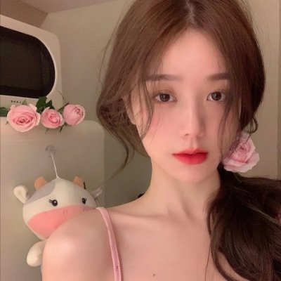 黑狐：希特勒
