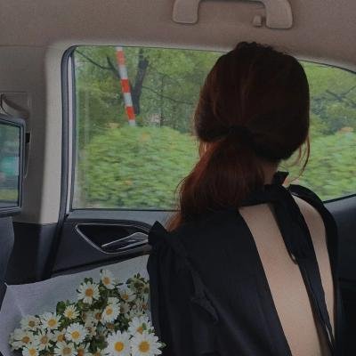 情到自然明国语